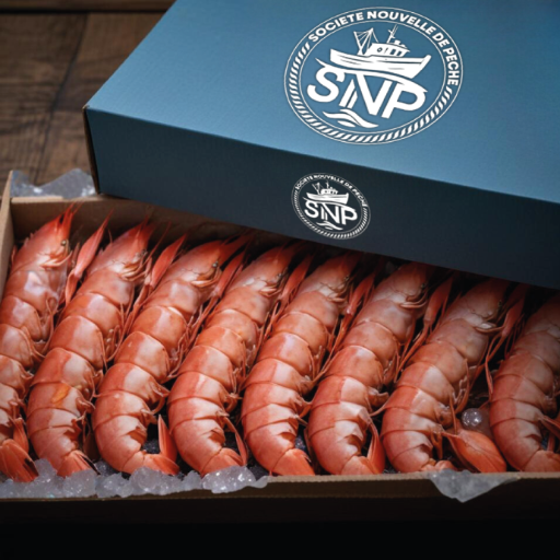 Présentation de la Société Nouvelle de Pêche, spécialisée dans l’exportation de produits de la mer congelés vers le marché européen.